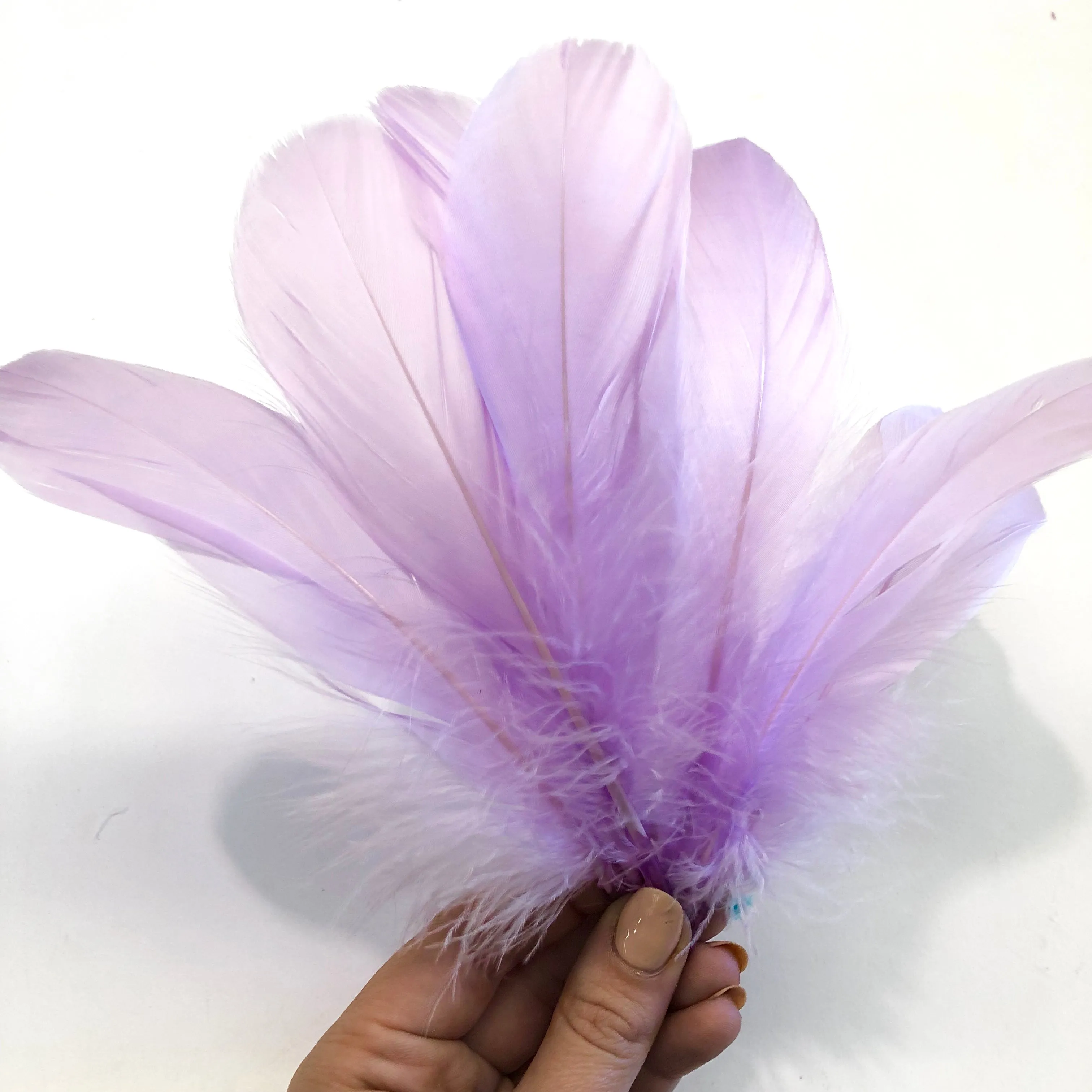 Goose Nagoire Feathers 10 grams - Lilac