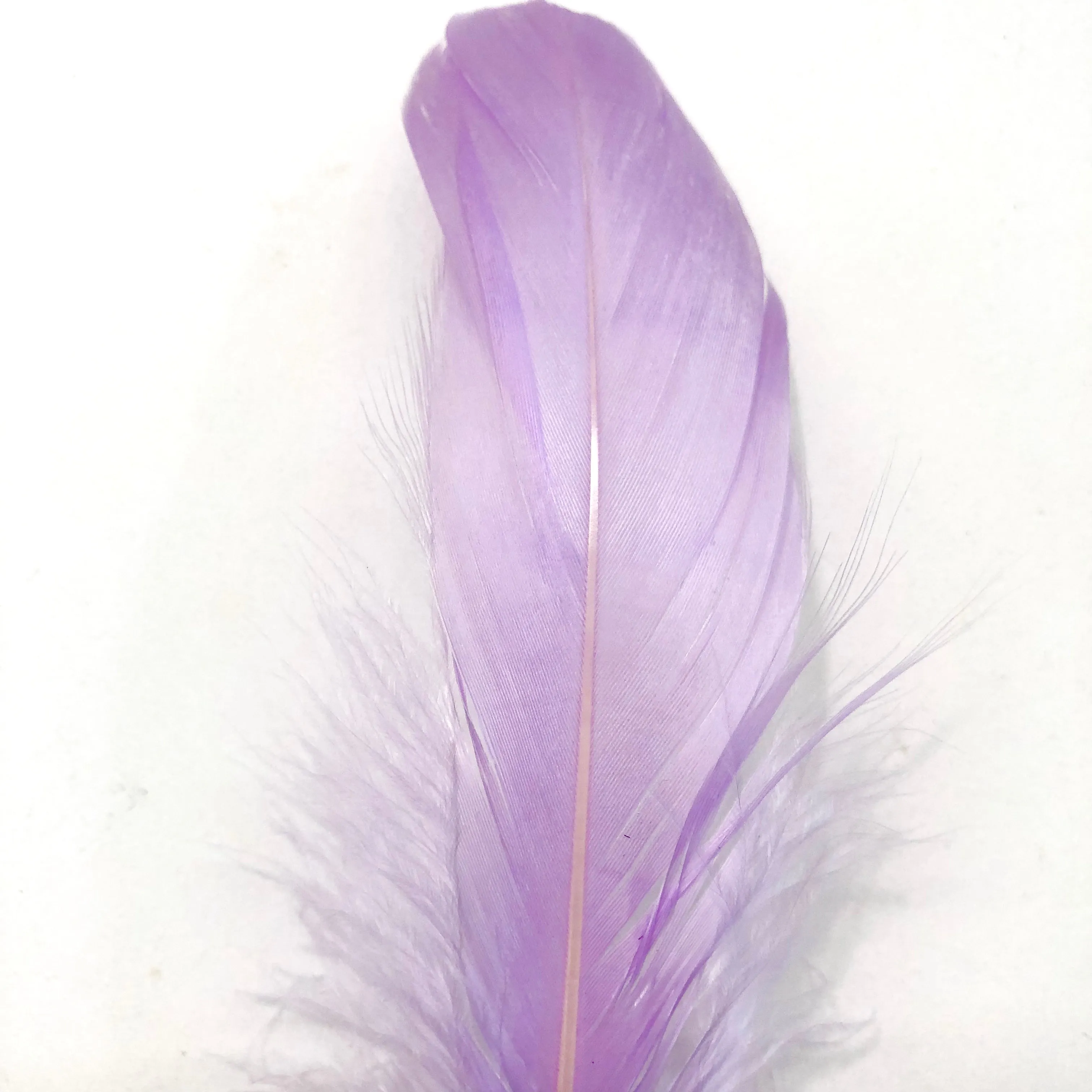 Goose Nagoire Feathers 10 grams - Lilac