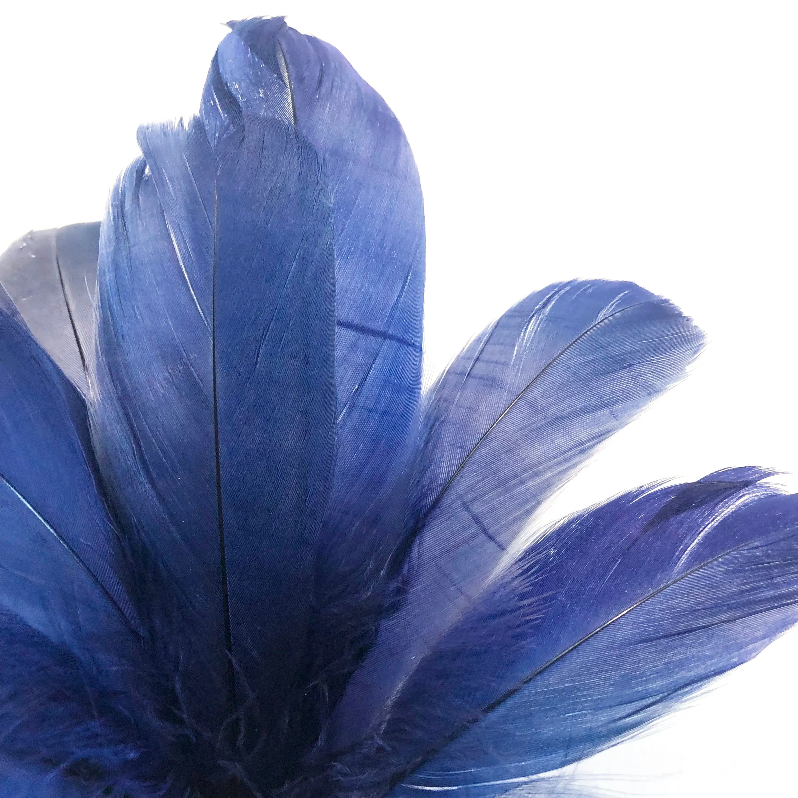 Goose Nagoire Feathers 10 grams - Navy