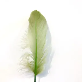 Goose Nagoire Feathers 10 grams - Olive