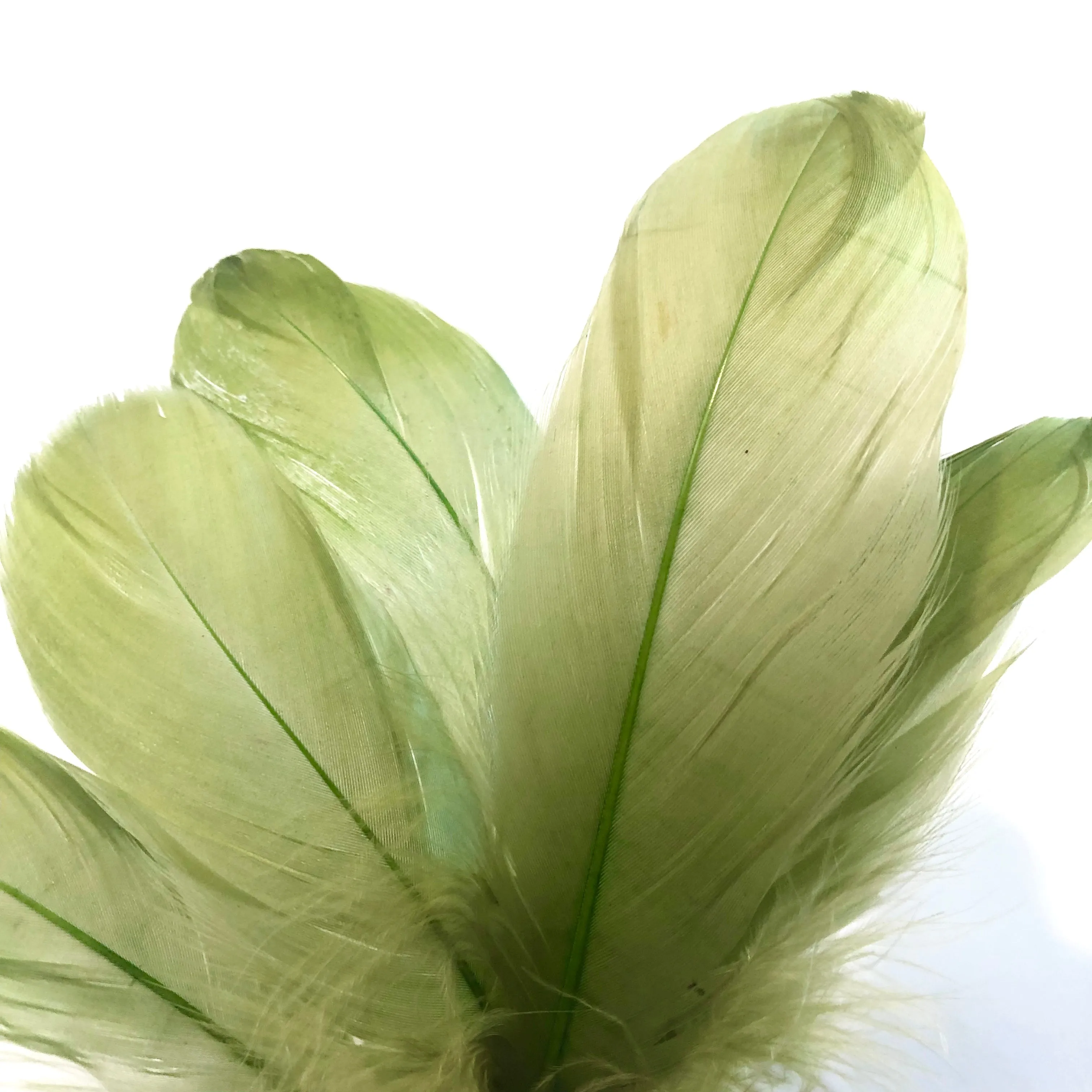Goose Nagoire Feathers 10 grams - Olive