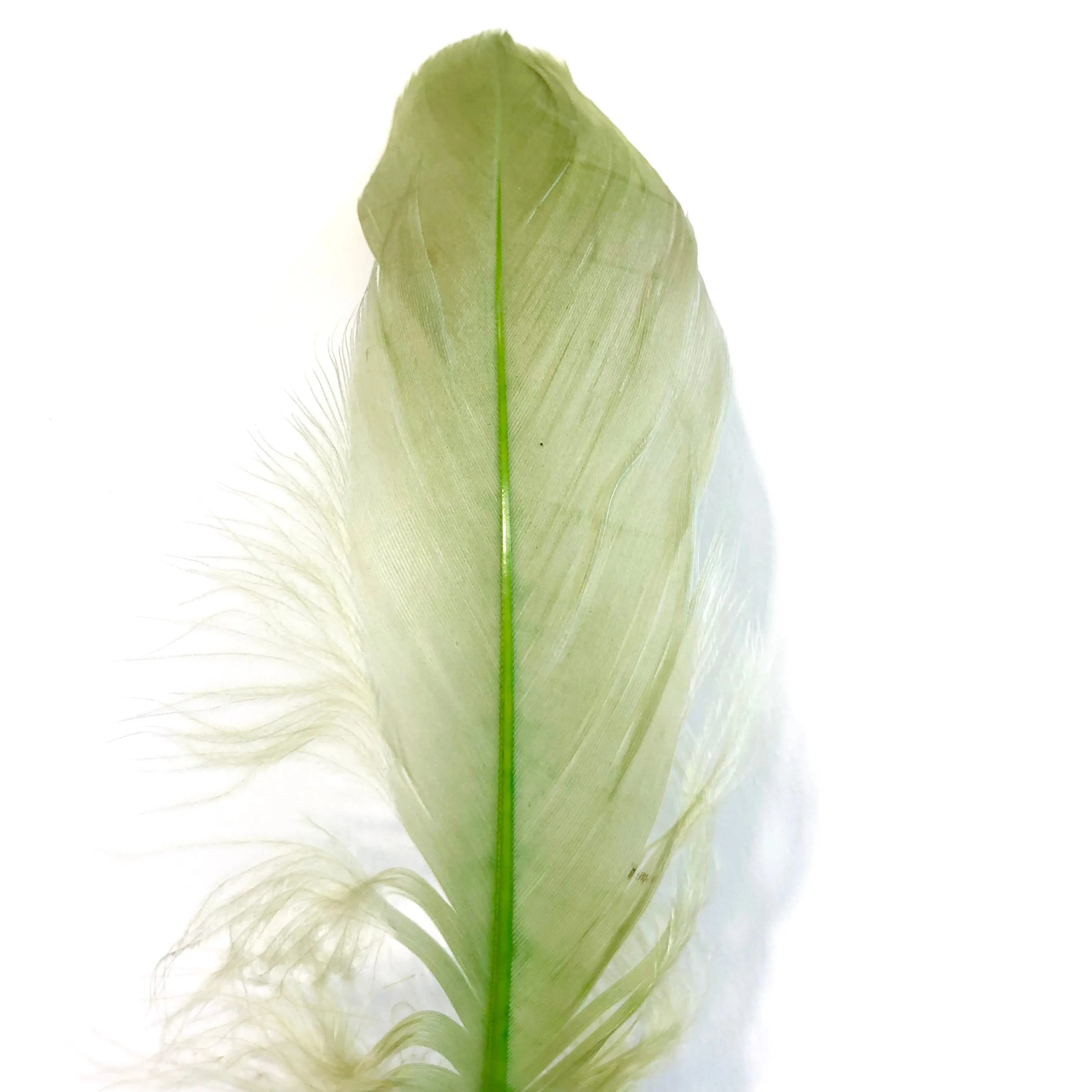 Goose Nagoire Feathers 10 grams - Olive