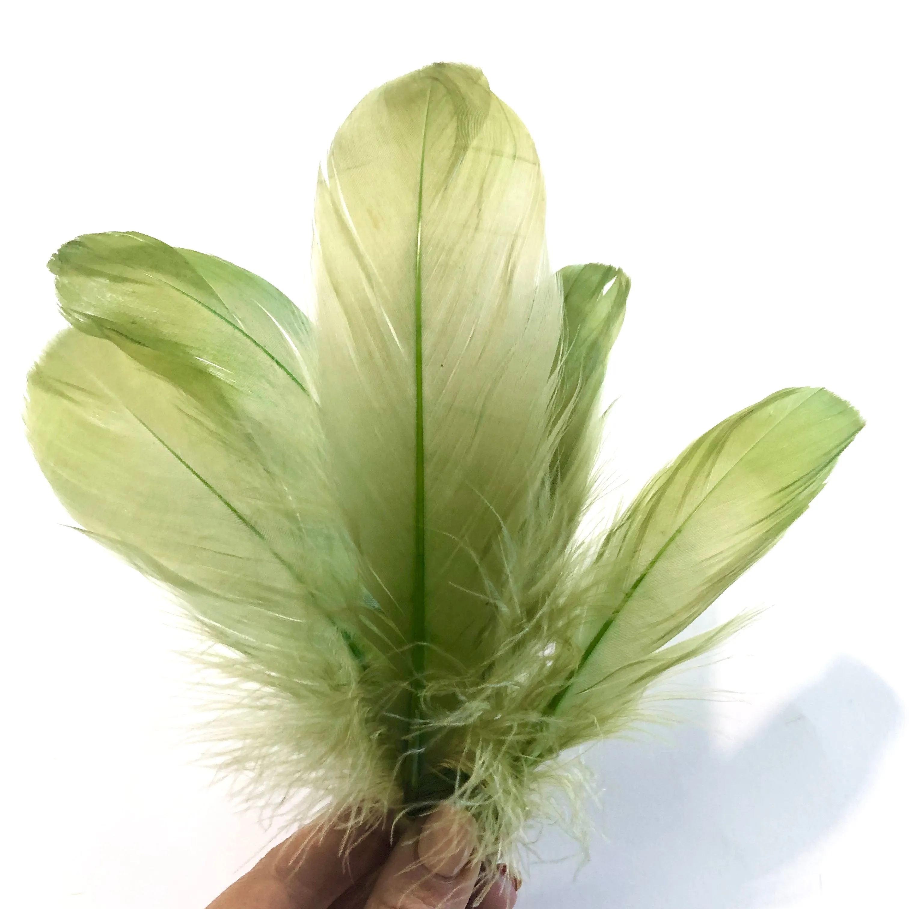 Goose Nagoire Feathers 10 grams - Olive