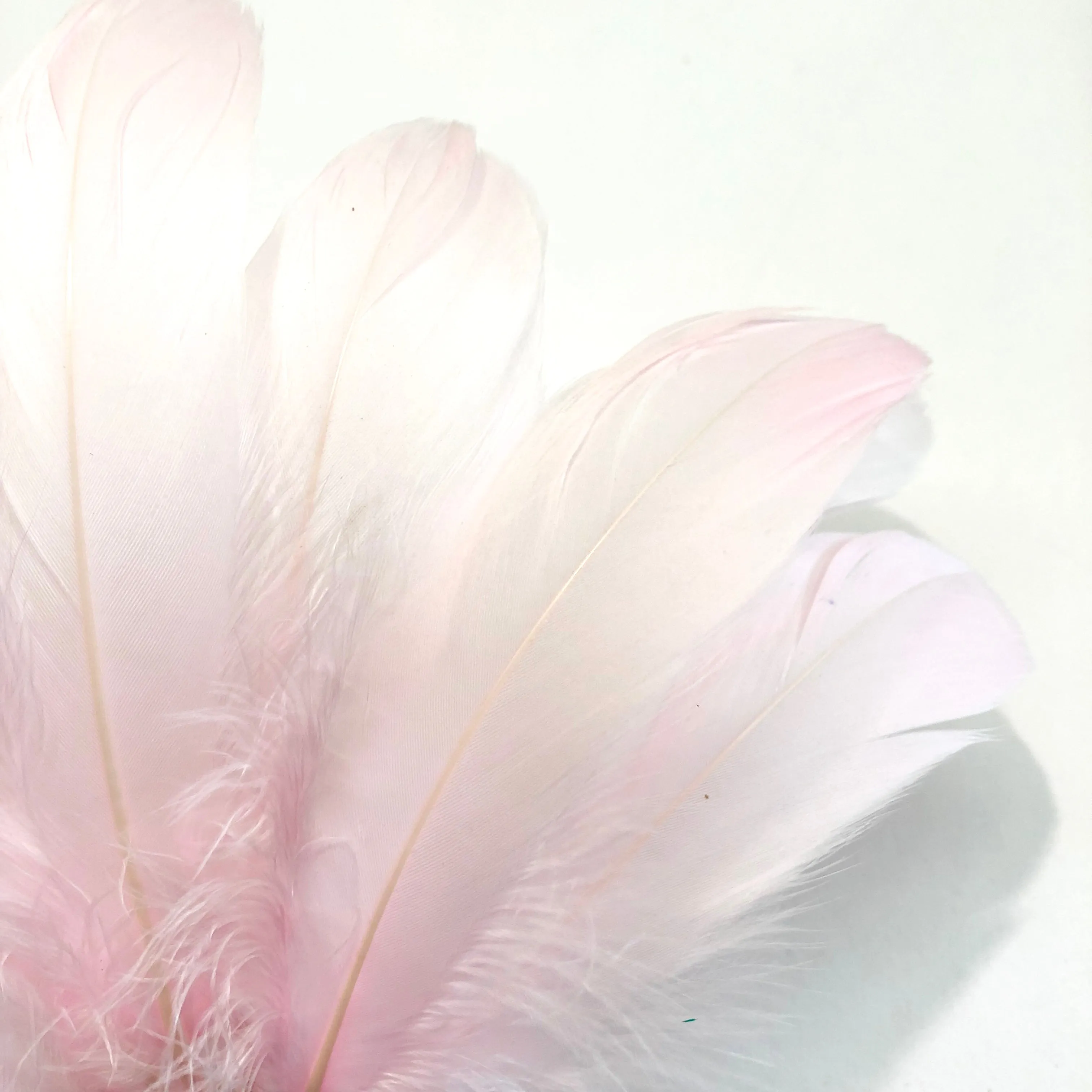 Goose Nagoire Feathers 10 grams - Pink