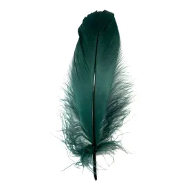 Goose Nagoire Feathers 10 grams - Teal