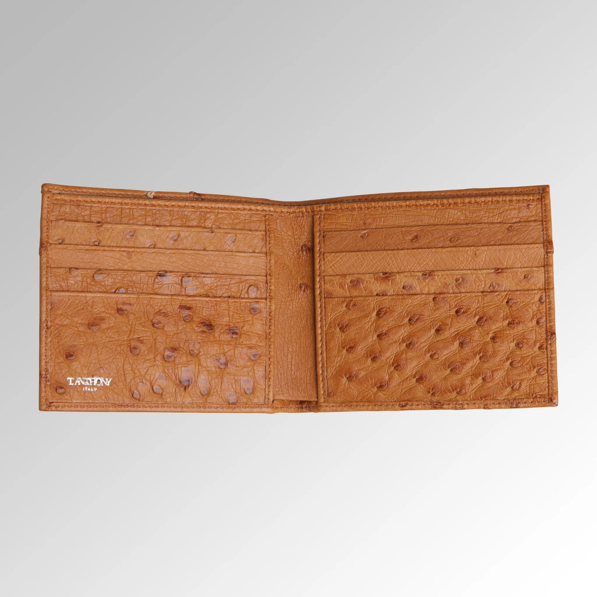 LIZARD HIP WALLET